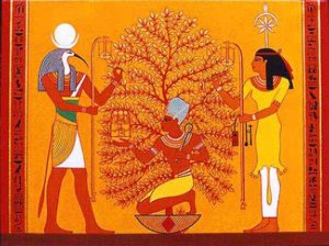 ancient egyptiam tree of life acacia